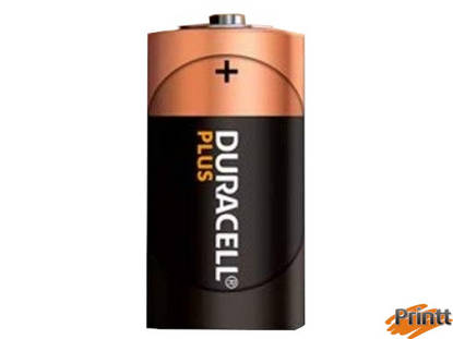 Immagine di BLISTER 2 PILE MN1300 DURACELL PLUS 100 - TORCIA D
